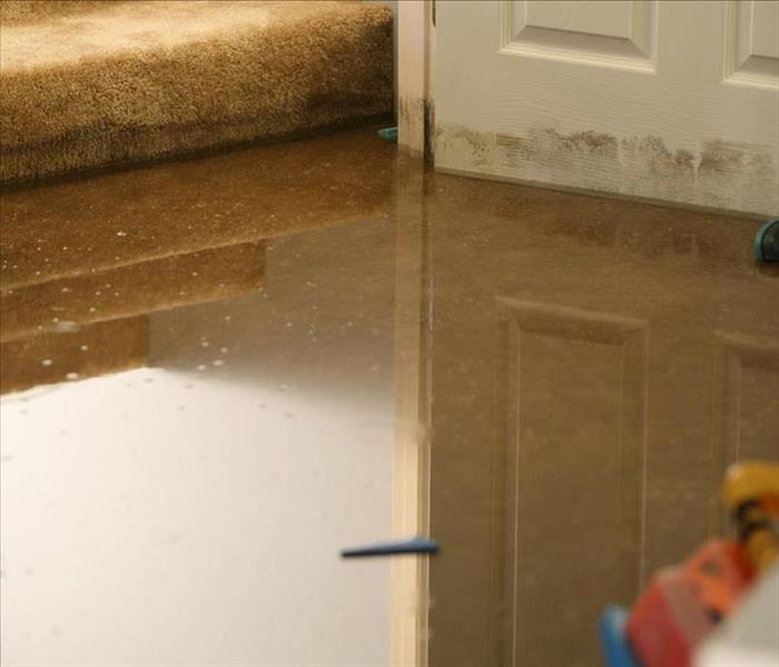 Standing water at the bottom of a stair with a white door and debris on the side.