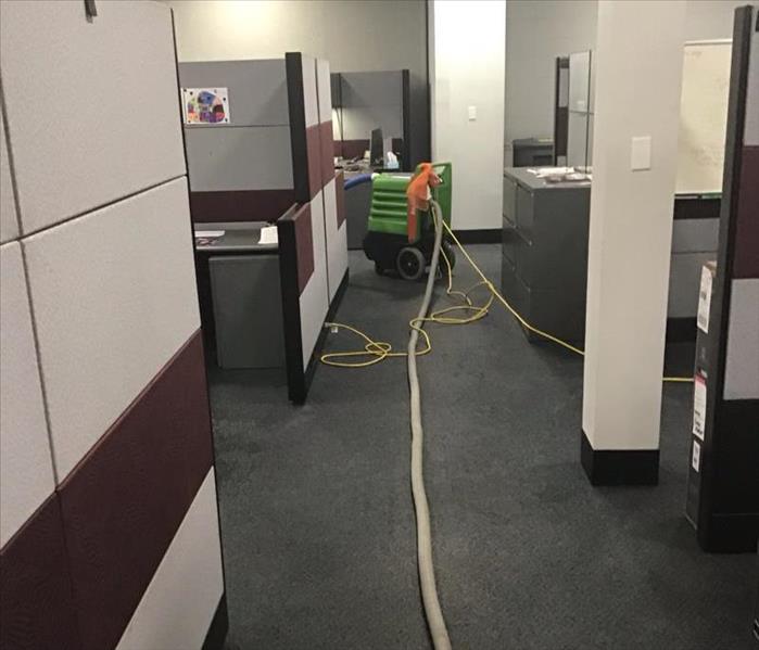 Wet office hallway with a green water extractor and white hoses on the floor.