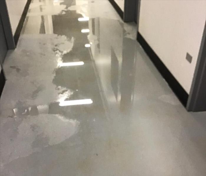 Wet hallway of an office with standing water and black trim.