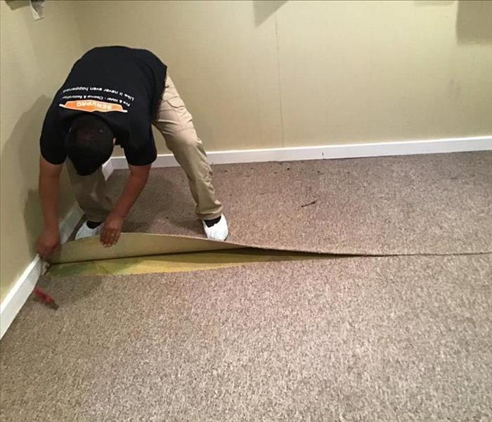SERVPRO employee removing tan carpet from a basement floor.